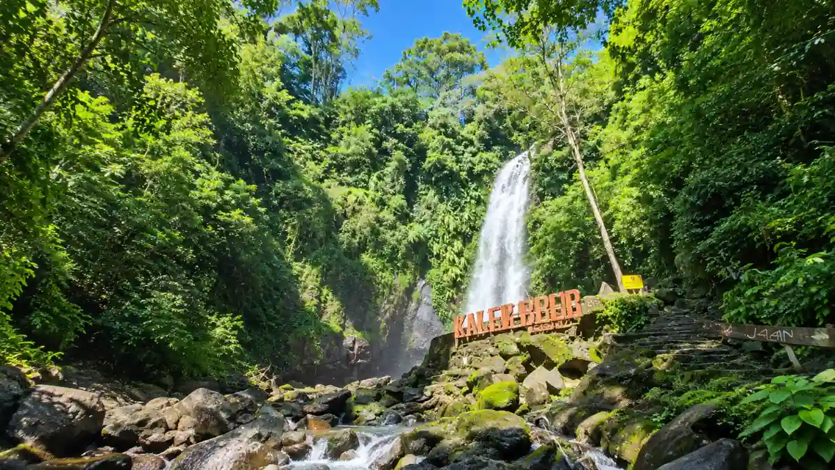 Air Terjun Kakek Bodo di Prigen, Pasuruan dengan terjunan air 40 meter di kawasan hutan lindung pegunungan Arjuna