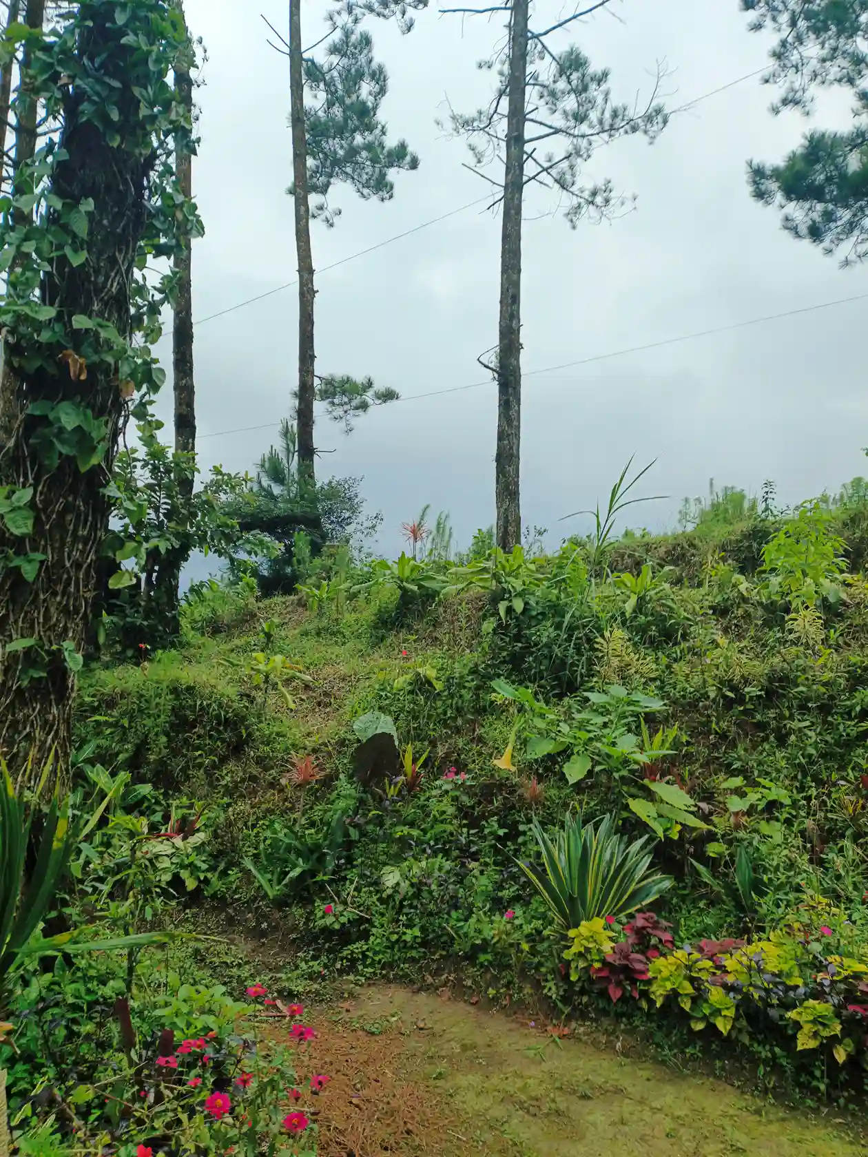 Panduan Memilih Sepatu