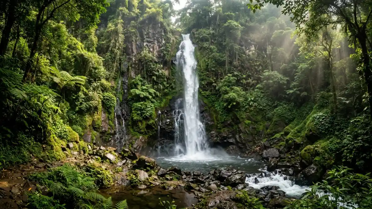Wisata Alam Jombang: Wonosalam, Goa Sriti, dan Sekitarnya